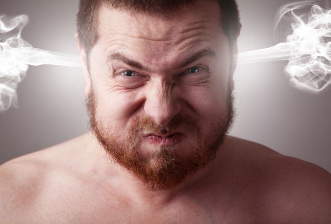 Здесь каждый найдёт что-то знакомое!