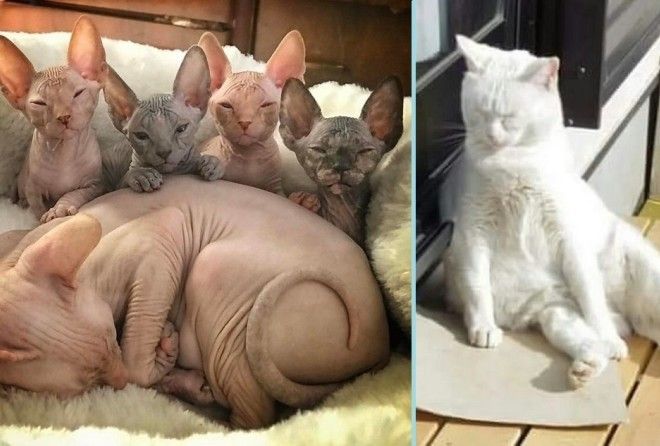 Баю-баюшки...