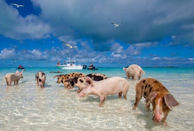 Это возможно!