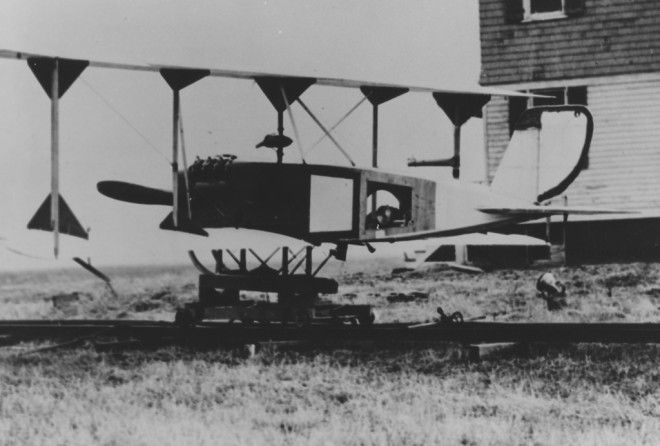 Да, им намного больше лет, чем вы думали!