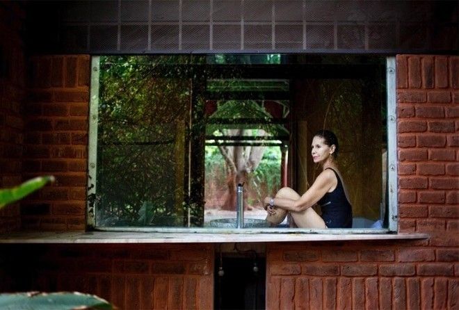 Ещё одна попытка создать идеальное общество