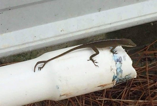 Осторожно, может пропасть желание выходить из дома!