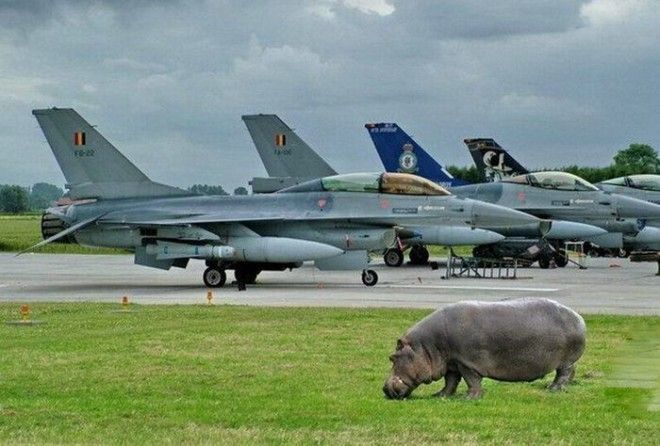 Кто в армии служил, тот в цирке не смеется :-)