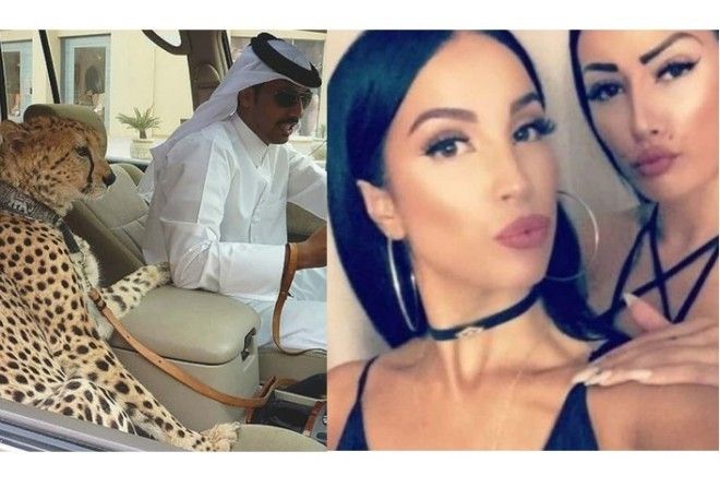 Обратная сторона медали...