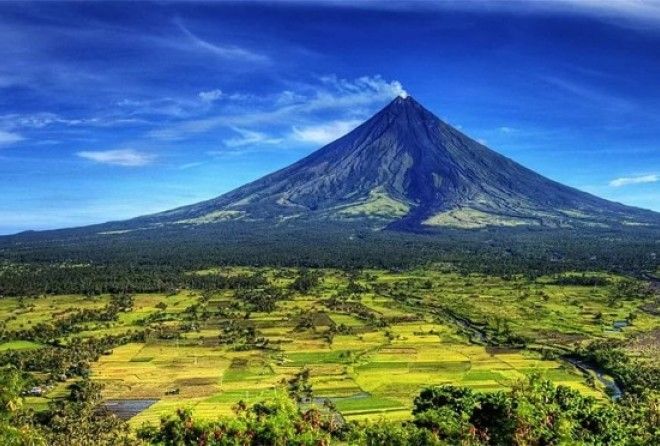 Все боятся их пробуждения!