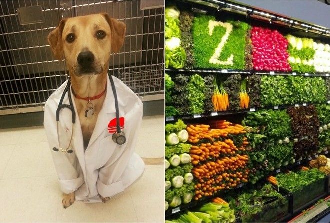 Искусство безделья