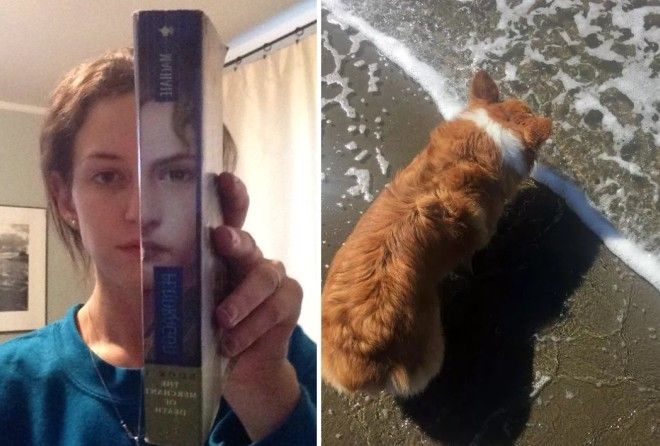 Совершенство, гармония, идеал.